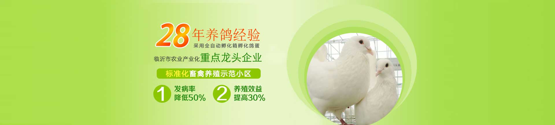 焦點(diǎn)圖